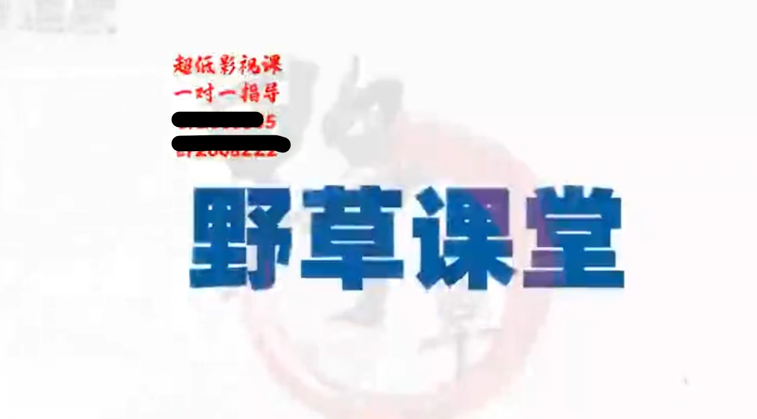 《野草影视解说陪跑训练营：从新手进阶到成熟自媒体达人》夸克网盘免费下载